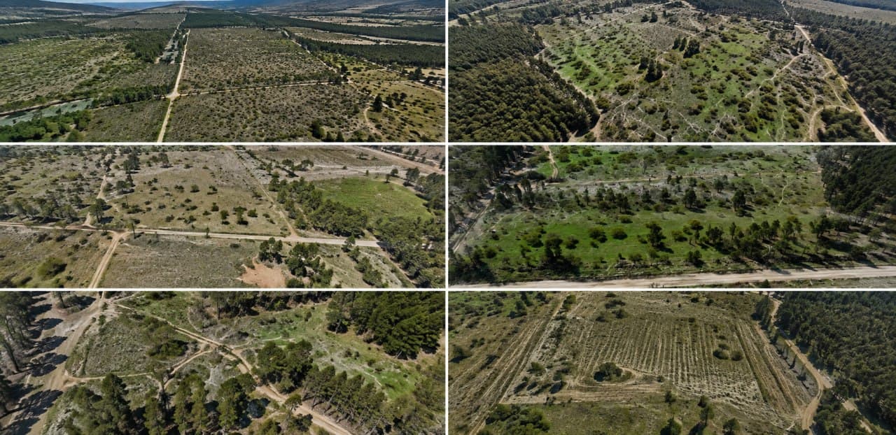 Vistas aéreas de distintos terrenos rurales levantados con dron